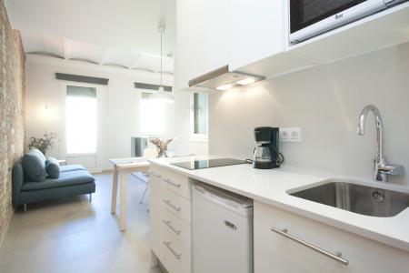 Estudio en Alquiler en Barcelona Enamorats - Diagonal