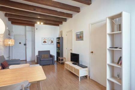 Appartamento con grande e accogliente terrazza