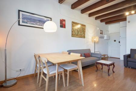 Appartamento con grande e accogliente terrazza