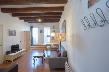 Appartamento con grande e accogliente terrazza