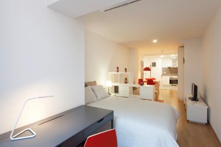 Studio te huur in Barcelona Gran De Gracia - Betlem