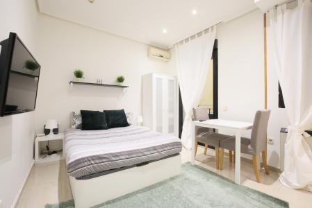 Studio for Rent in Madrid Valverde - Malasaña