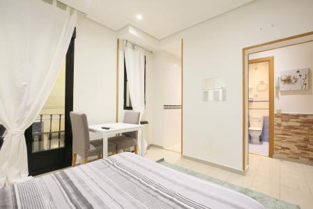 Studio for Rent in Madrid Valverde - Malasaña