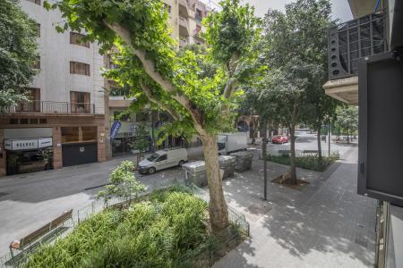 Pis en Lloguer a Barcelona Consell De Cent - Entença