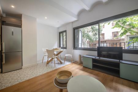 Pis en Lloguer a Barcelona Consell De Cent - Entença