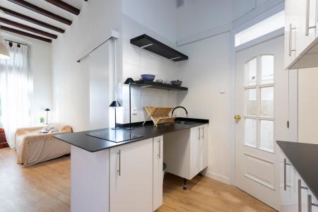 Pis en Lloguer a Barcelona Cortines - Bases De Sant Pere