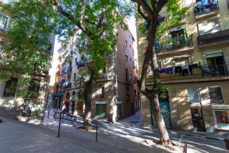 Pis en Lloguer a Barcelona Cortines - Bases De Sant Pere