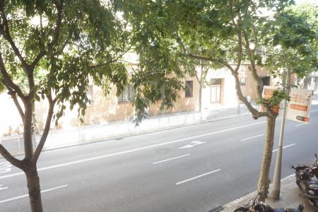 Appartement te huur in Barcelona Mallorca - Nàpols
