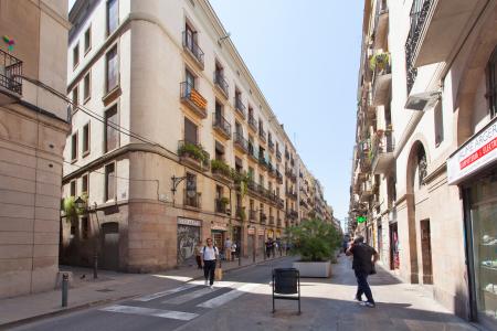 Appartement te huur in Barcelona Princesa - Born
