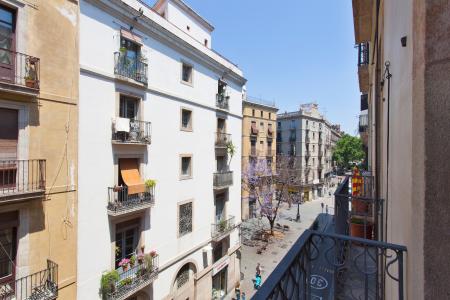 Appartement te huur in Barcelona Princesa - Born