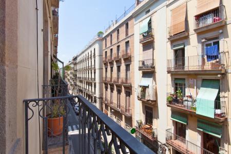 Appartement te huur in Barcelona Princesa - Born