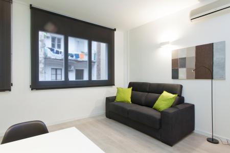 Alquiler mensual piso cerca de la Universitat de Barcelona