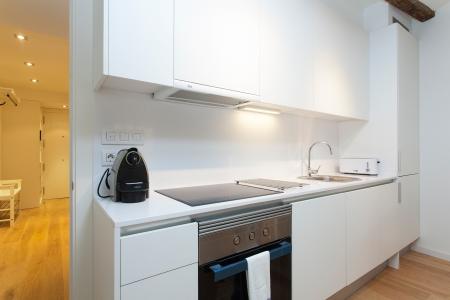 Pis en Lloguer a Barcelona Cortines - Arc De Triomf