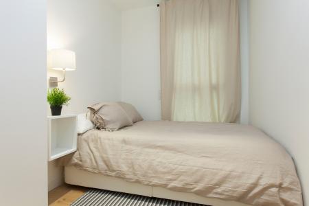 Pis en Lloguer a Barcelona Cortines - Arc De Triomf