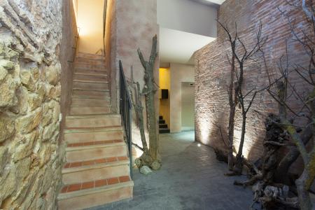 Pis en Lloguer a Barcelona Cortines - Arc De Triomf