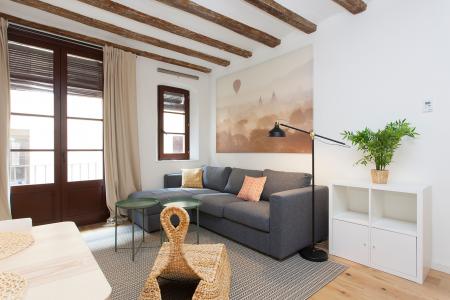 Pis en Lloguer a Barcelona Cortines - Arc De Triomf