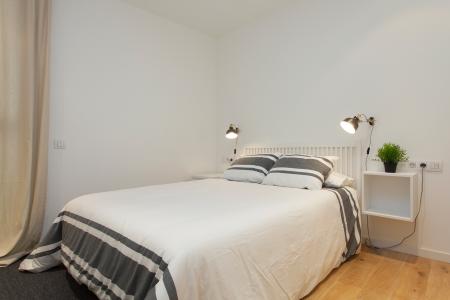 Pis en Lloguer a Barcelona Cortines - Arc De Triomf