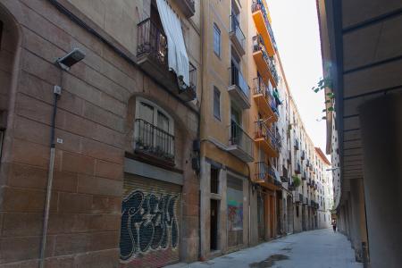 Pis en Lloguer a Barcelona Cortines - Arc De Triomf