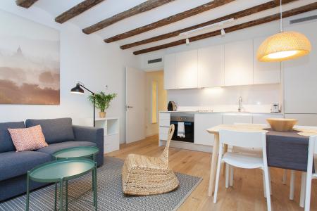 Pis en Lloguer a Barcelona Cortines - Arc De Triomf