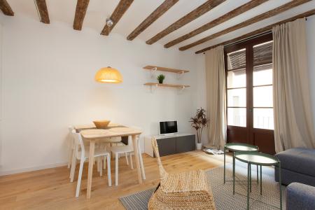 Pis en Lloguer a Barcelona Cortines - Arc De Triomf