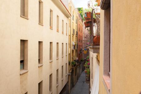 Pis en Lloguer a Barcelona Cortines - Arc De Triomf