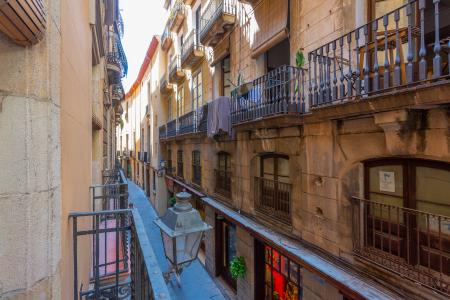 Pis en Lloguer a Barcelona Banys Nous - Catedral De Barcelona