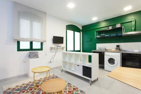 Affittasi accogliente appartamento in Carrer Sant Miquel, Barceloneta