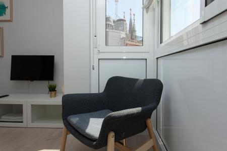 Grande appartamento arredato in Avenida Gaudi
