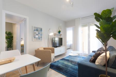 Affittasi appartamento arredato in Radas - Magalhanes