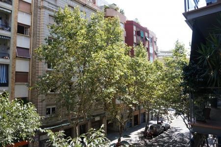 Pis en Lloguer a Barcelona Nàpols - Indùstria