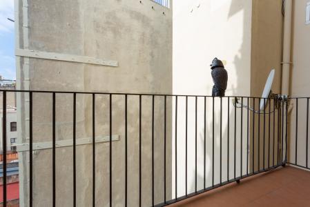 Квартира в аренду в Barcelona Joaquim Costa - Macba