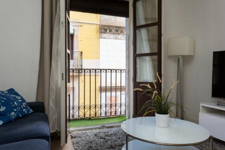 Квартира в аренду в Barcelona Joaquim Costa - Macba