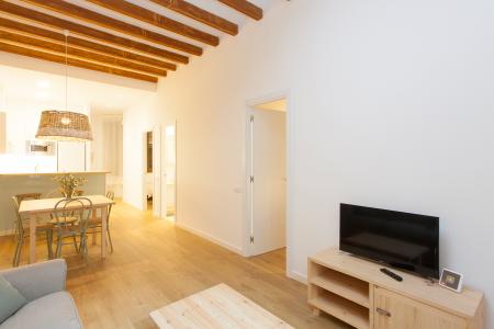 Appartement te huur in Barcelona Macba - Plaza Universitat
