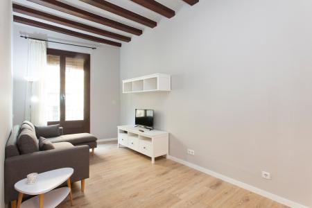 Appartement te huur in Barcelona Valldonzella - Ronda Sant Antoni