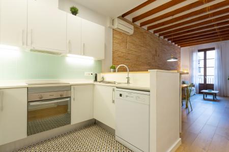 Elegante appartamento in affitto nel Raval