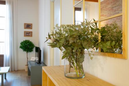 Elegante appartamento in affitto nel Raval