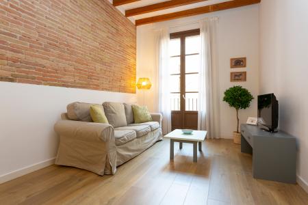 Elegante appartamento in affitto nel Raval