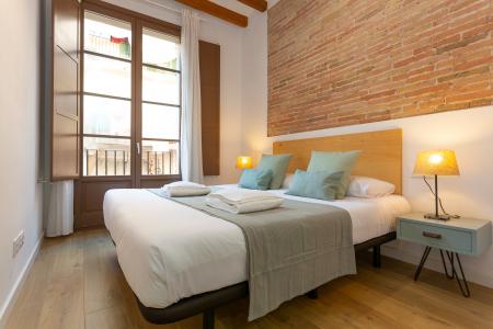 Elegante appartamento in affitto nel Raval