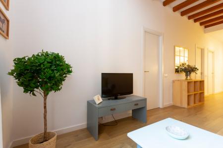 Elegante appartamento in affitto nel Raval