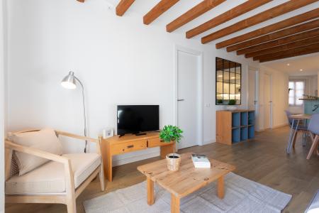 Charming two bedroom flat in El Raval